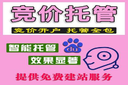 百度推广账户日常管理及优化技巧——以某品牌为例